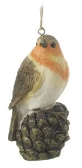 Hanging Robin Sitting On Pine Cone
